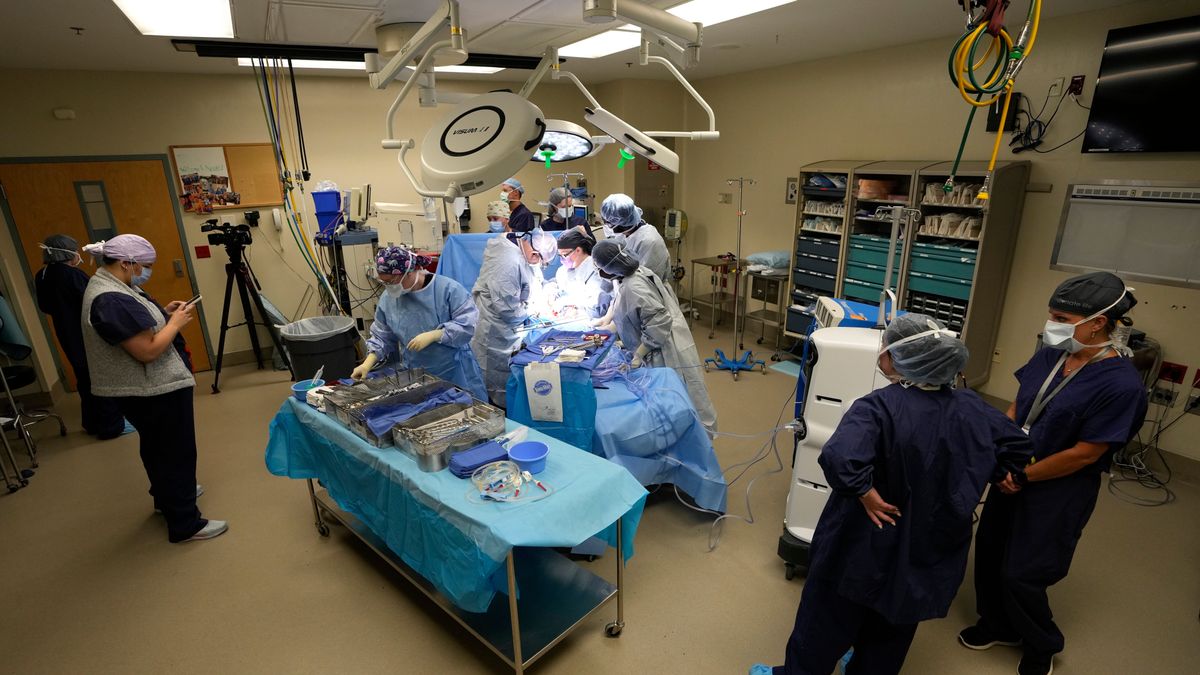 FILE - An organ recovery team works to remove the liver and kidneys from a donor June 15, 2023, in Jackson, Tenn. (AP Photo/Mark Humphrey, File)