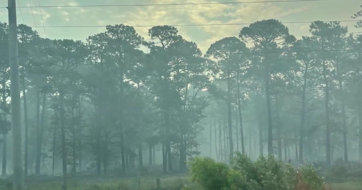 Brunswick County wildfire over halfway contained, N.C. Forest Service says