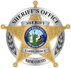 Two Wayne County children charged after breaking into pool and school
