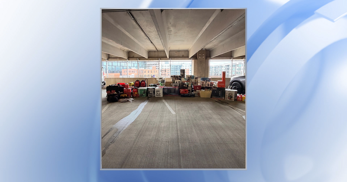 Durham County deputies arrest two men accused of 'sophisticated retail theft ring'