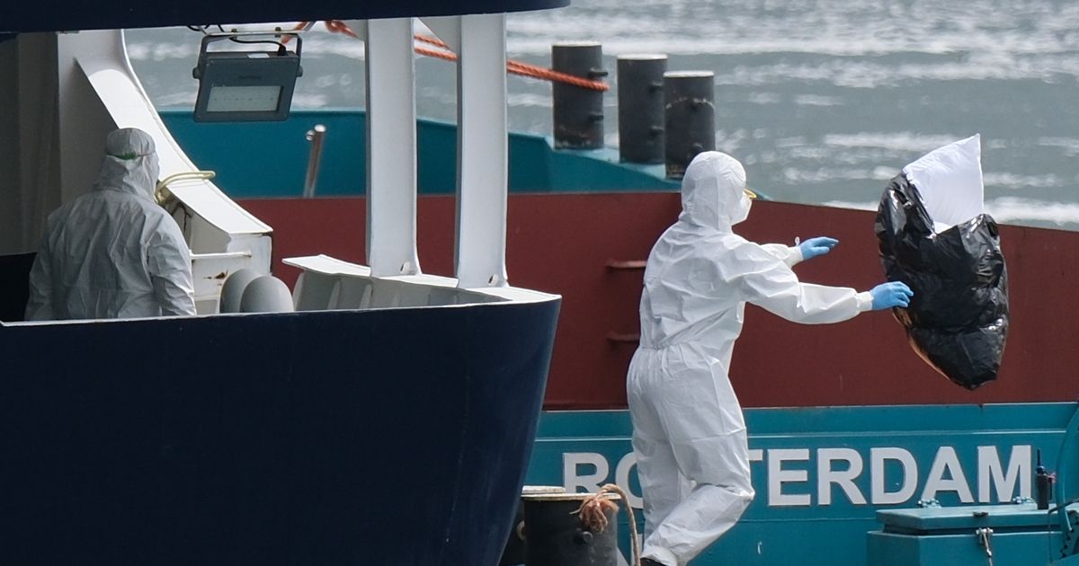 How South African scientists identified hantavirus on a cruise ship thousands of miles away