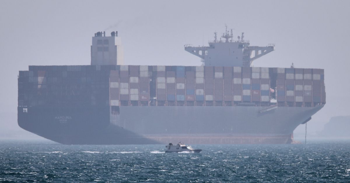 Shipping firms are being whipsawed by changing stances and risks as they wait for Hormuz to reopen