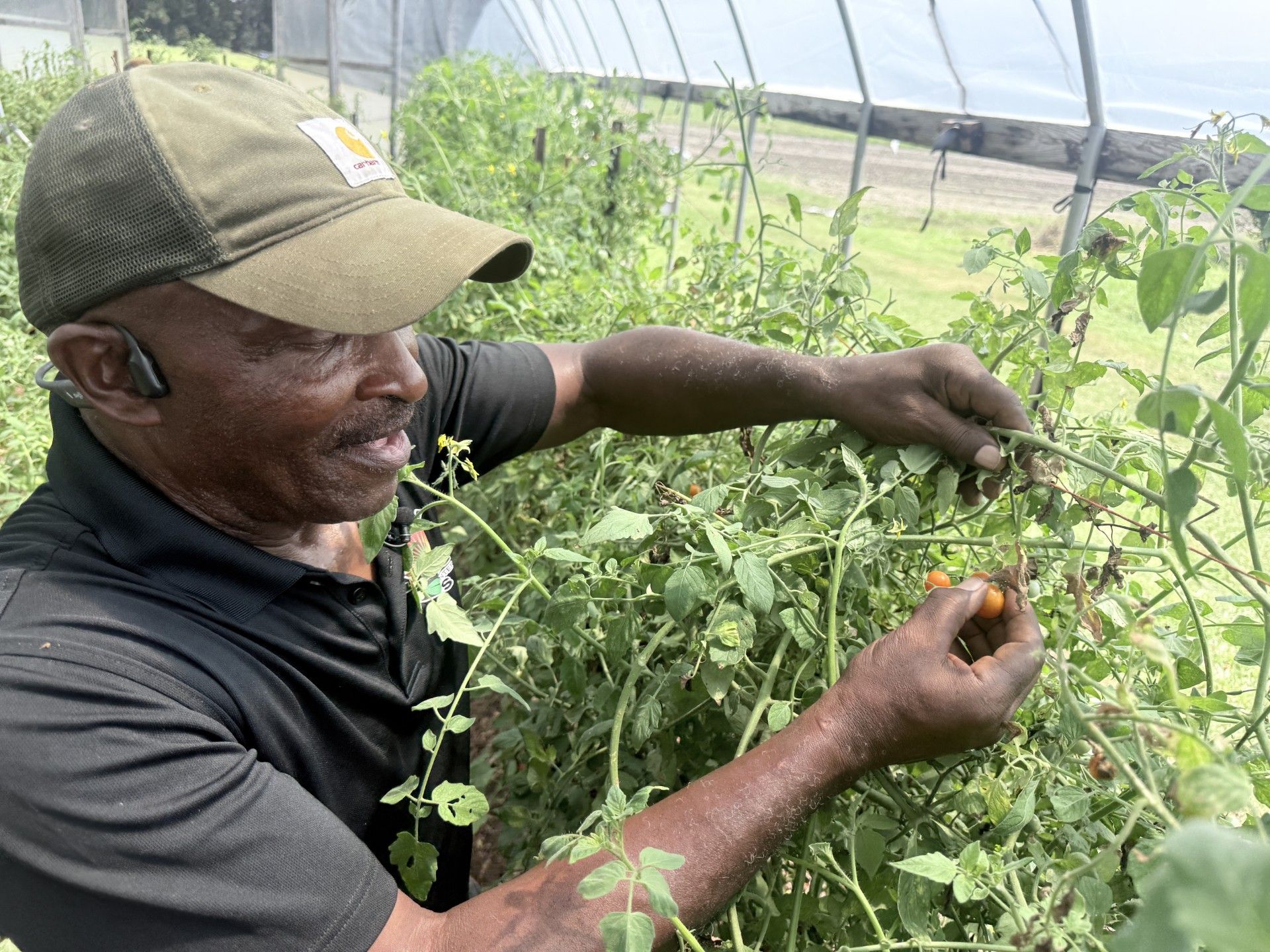 wral.com - Grace Hayba, WRAL Health Reporter - From farm to table: Edgecombe County effort expands access to fresh, healthy food