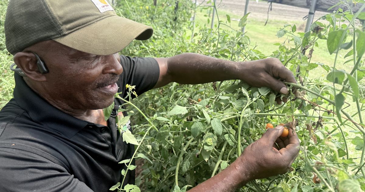 From farm to table: Edgecombe County effort expands access to fresh, healthy food