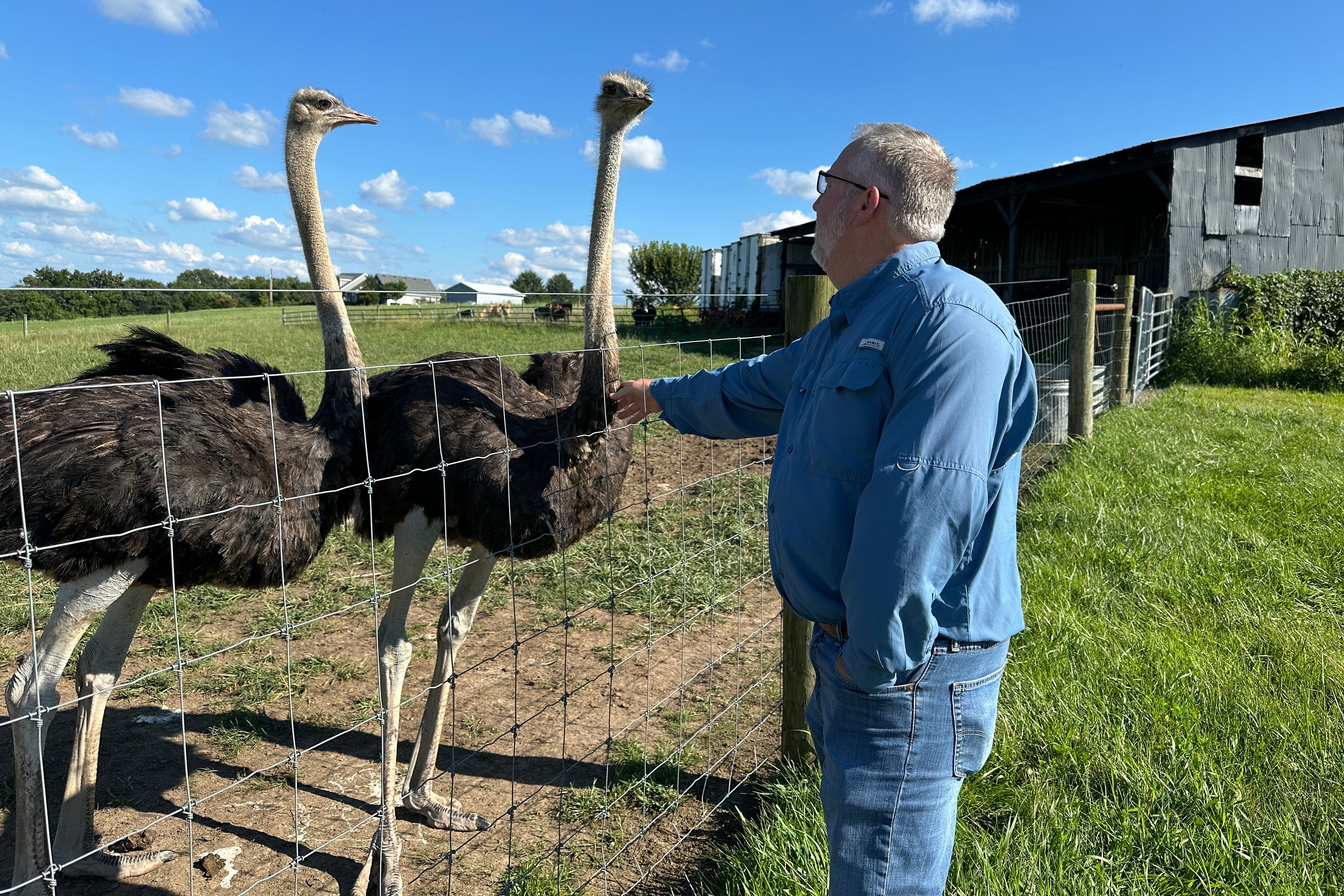 wral.com - DYLAN LOVAN — Associated Press - A Kentucky man with a meat allergy was craving a burger. So he got into ostrich farming