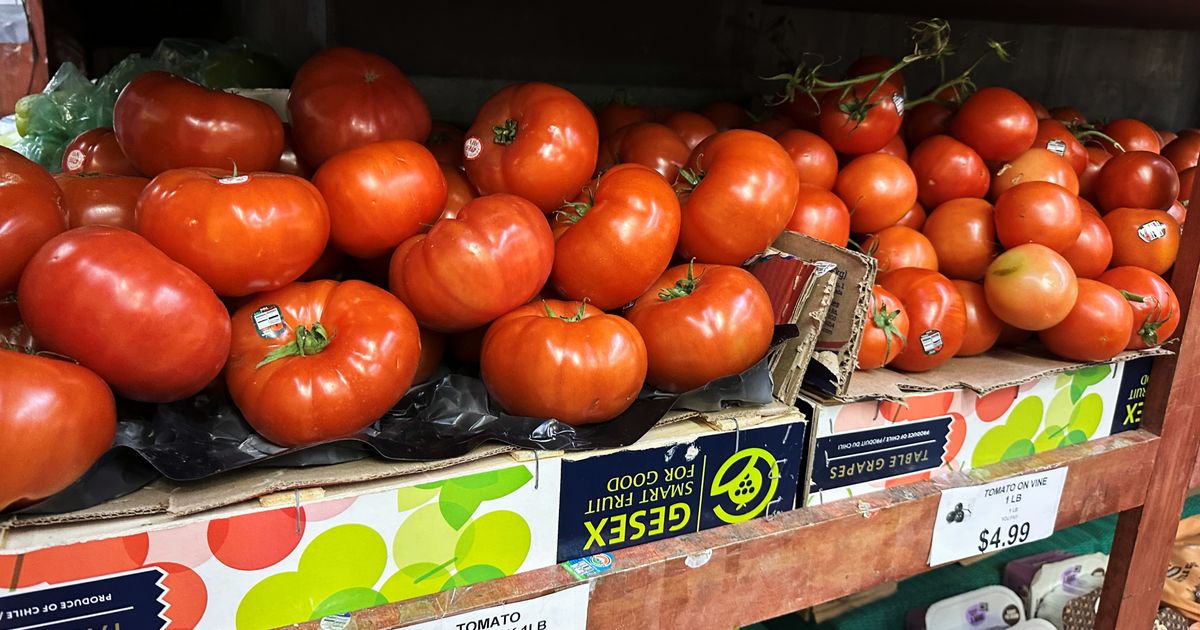 Tomatoes become latest symbol of America’s affordability squeeze