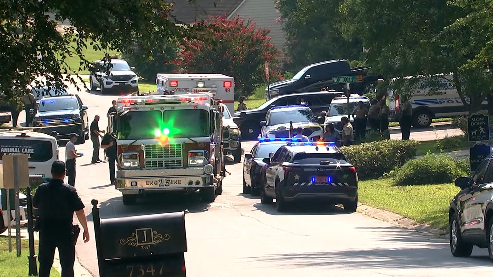 Woman attacked by 7 dogs in Charlotte neighborhood , 4 people injured