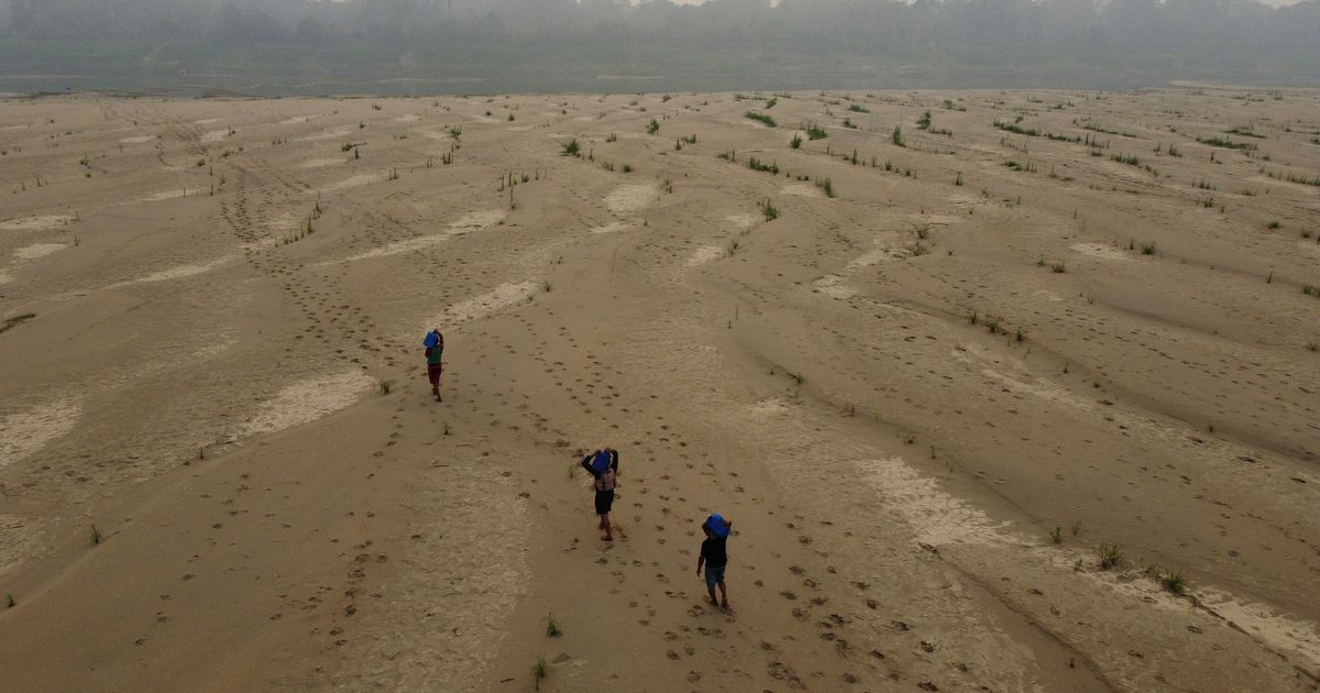 Think it's hot now? The next five years will smash records, UN says