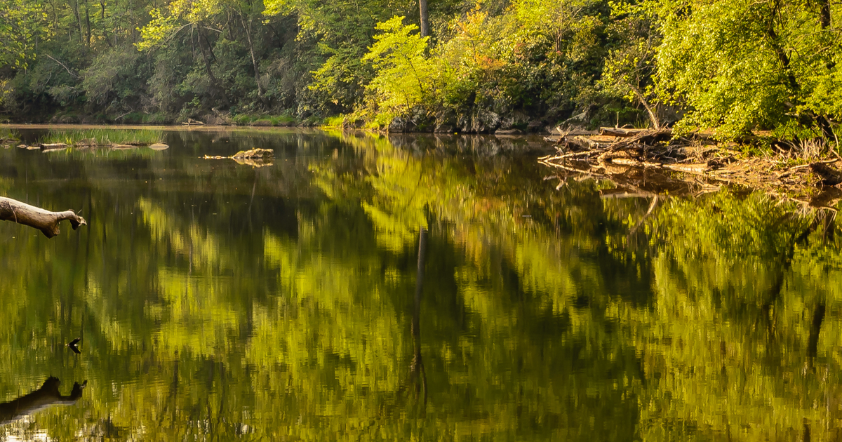 Brain-eating amoeba, flesh-eating bacteria: What NC swimmers should know this Labor Day