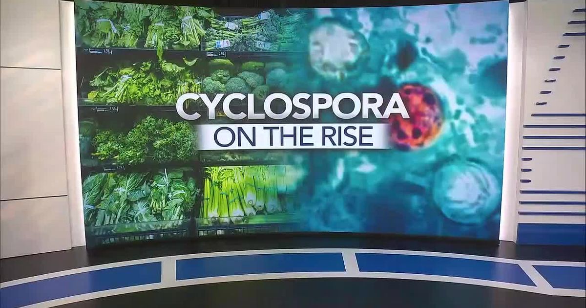 Cyclospora source still unknown in North Carolina despite Michigan lettuce lead