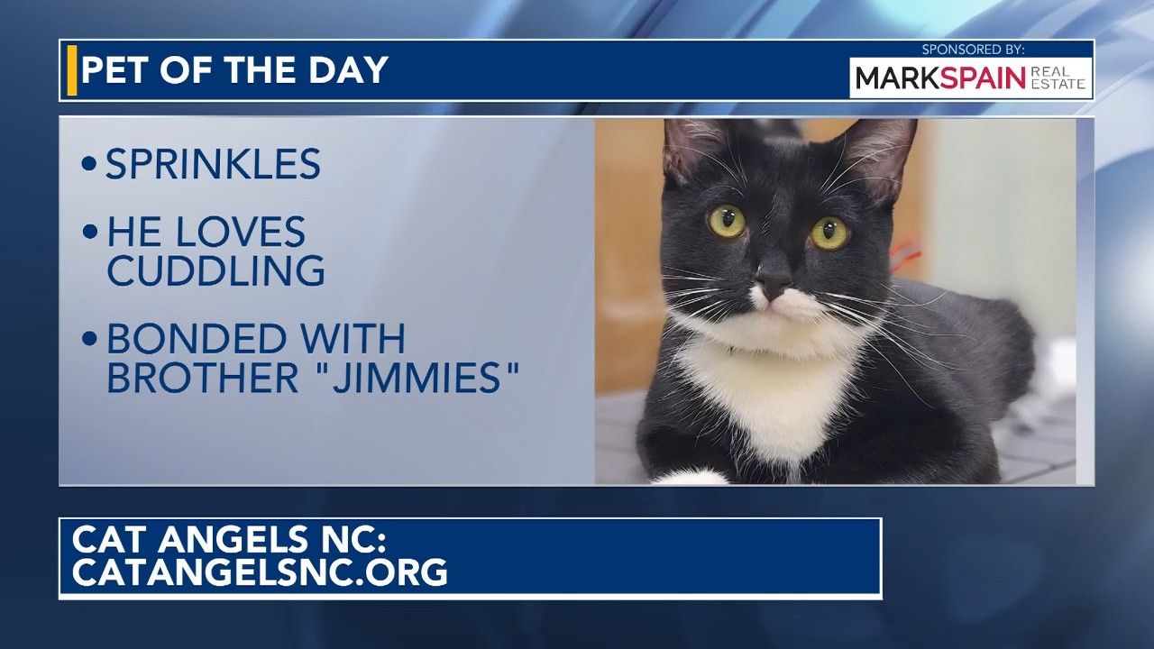Pet of the Day: October 14, 2026