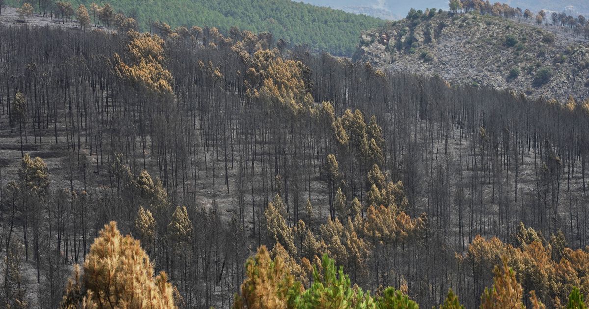 Firefighters battle one of Spain's biggest-ever wildfires during heat wave across the Mediterranean