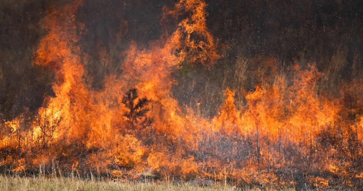 Johnston County EMS warning residents about brush fires after several on Saturday