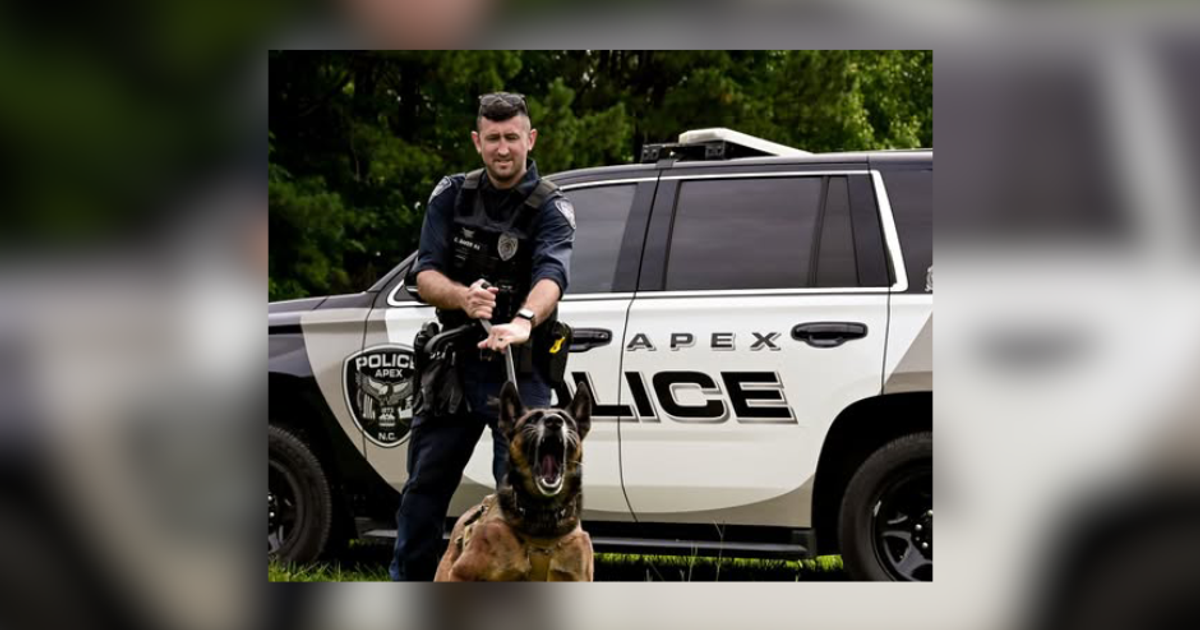 Apex man with multiple felony charges arrested after running from traffic stop