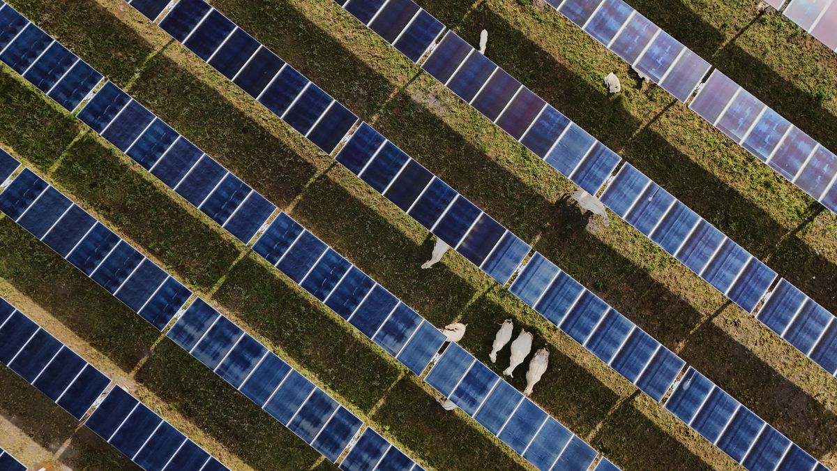 wral.com - JENNIFER McDERMOTT — Associated Press - Solar power hits new milestones in the US even as Trump boosts coal over clean energy