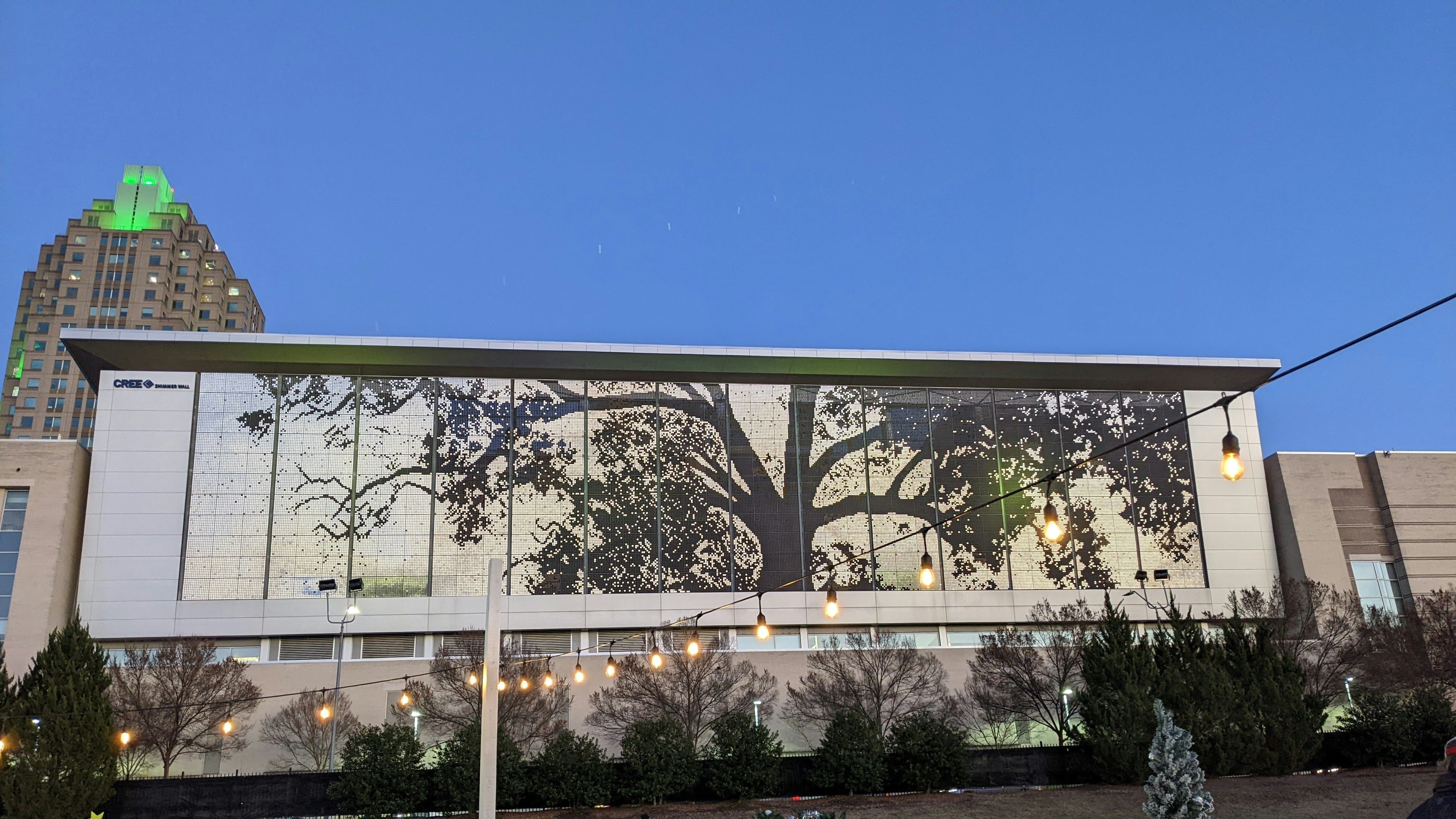 Raleigh Convention Center , a downtown icon , could get a new name