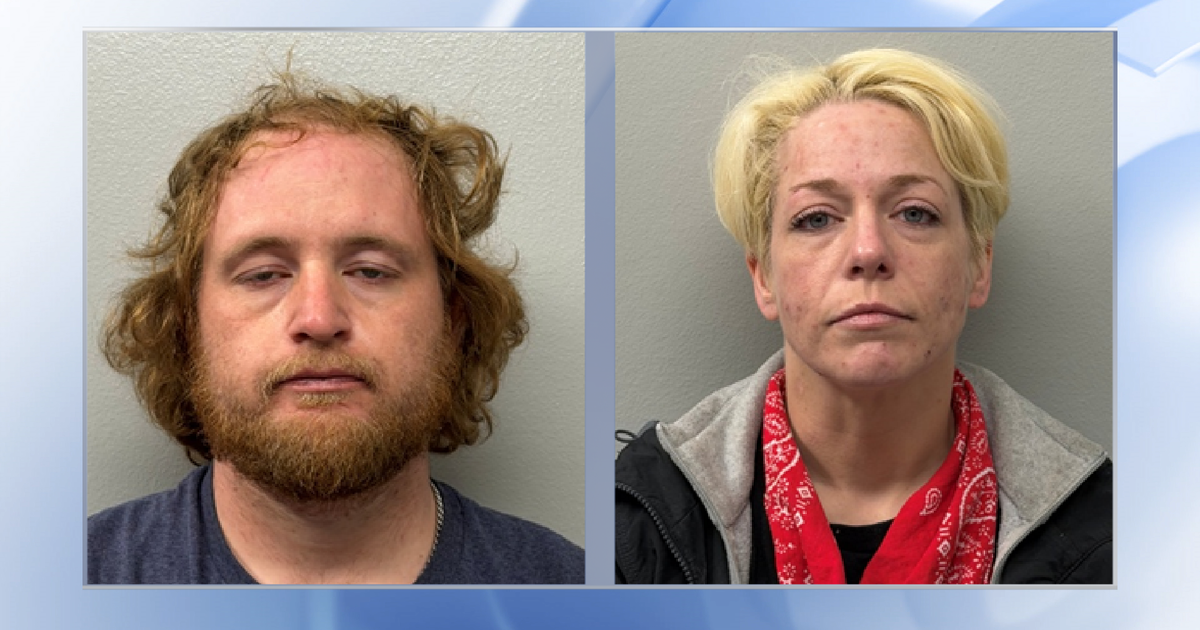 Deputies: Two arrested in Chatham County, charged with stealing from farm supply store