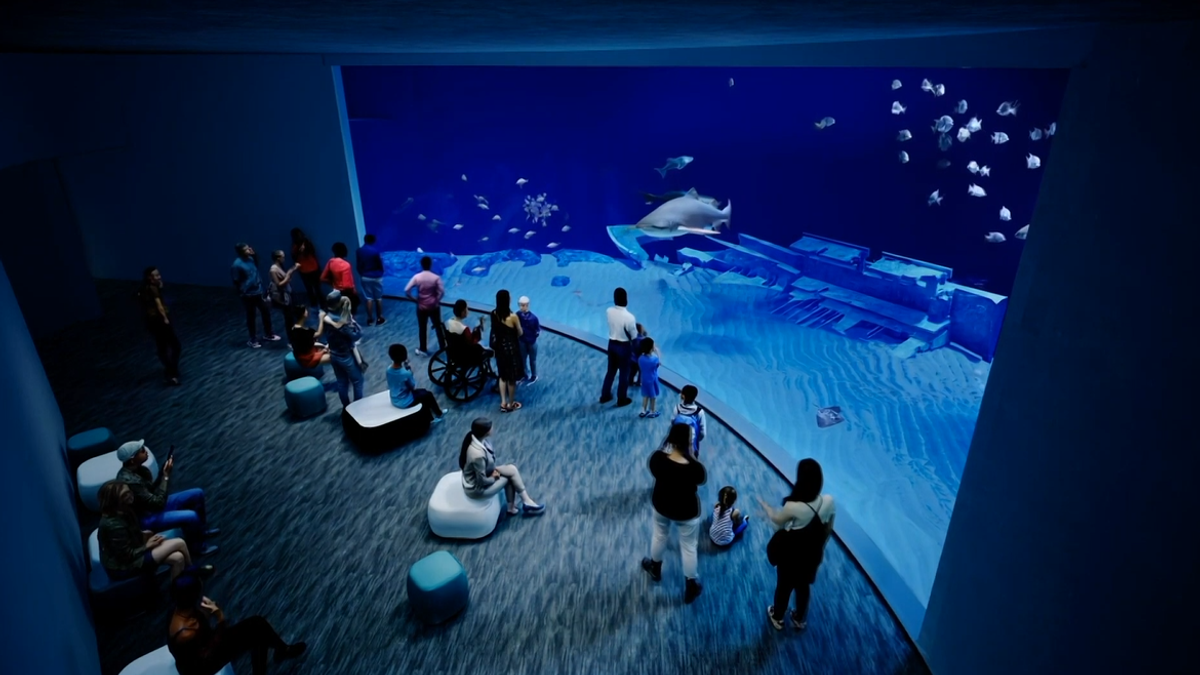 What to do if you planned a visit: tickets, refunds, and alternatives