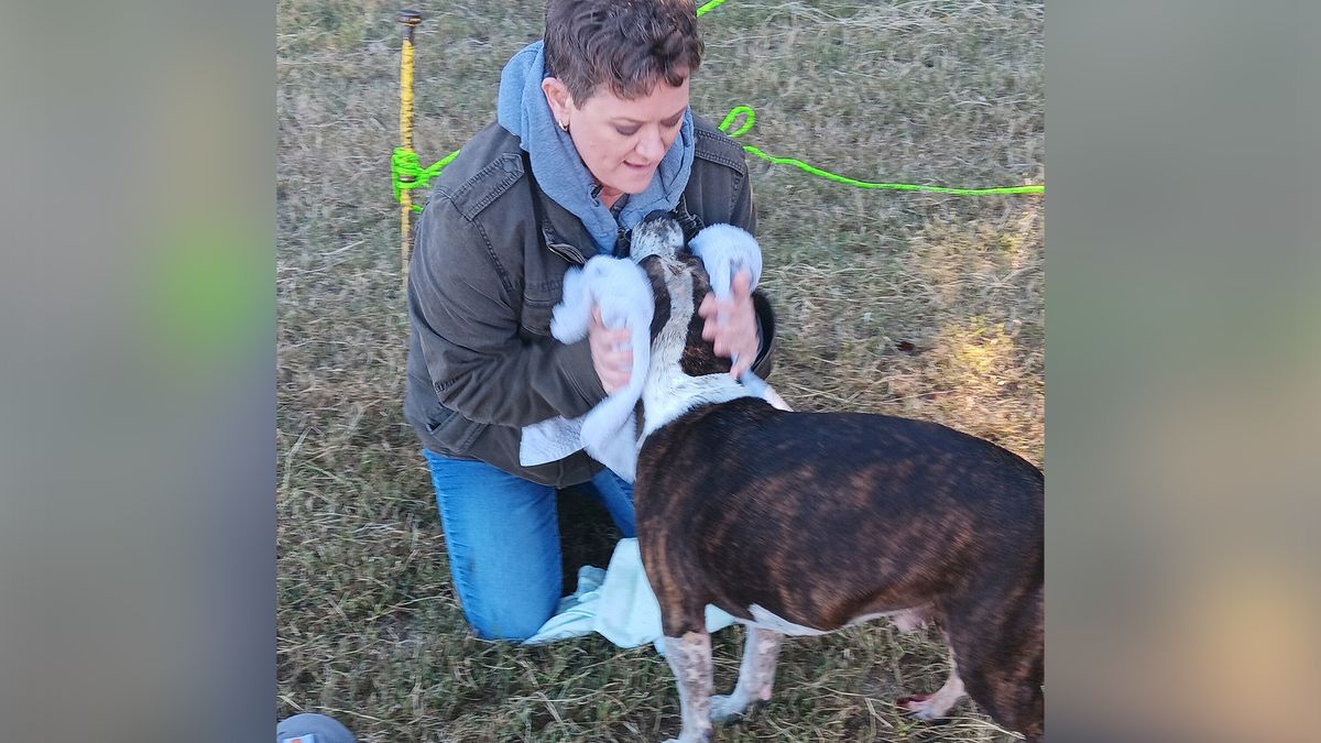 Dog trapped 30 feet down in well rescued by firefighters :: WRAL.com