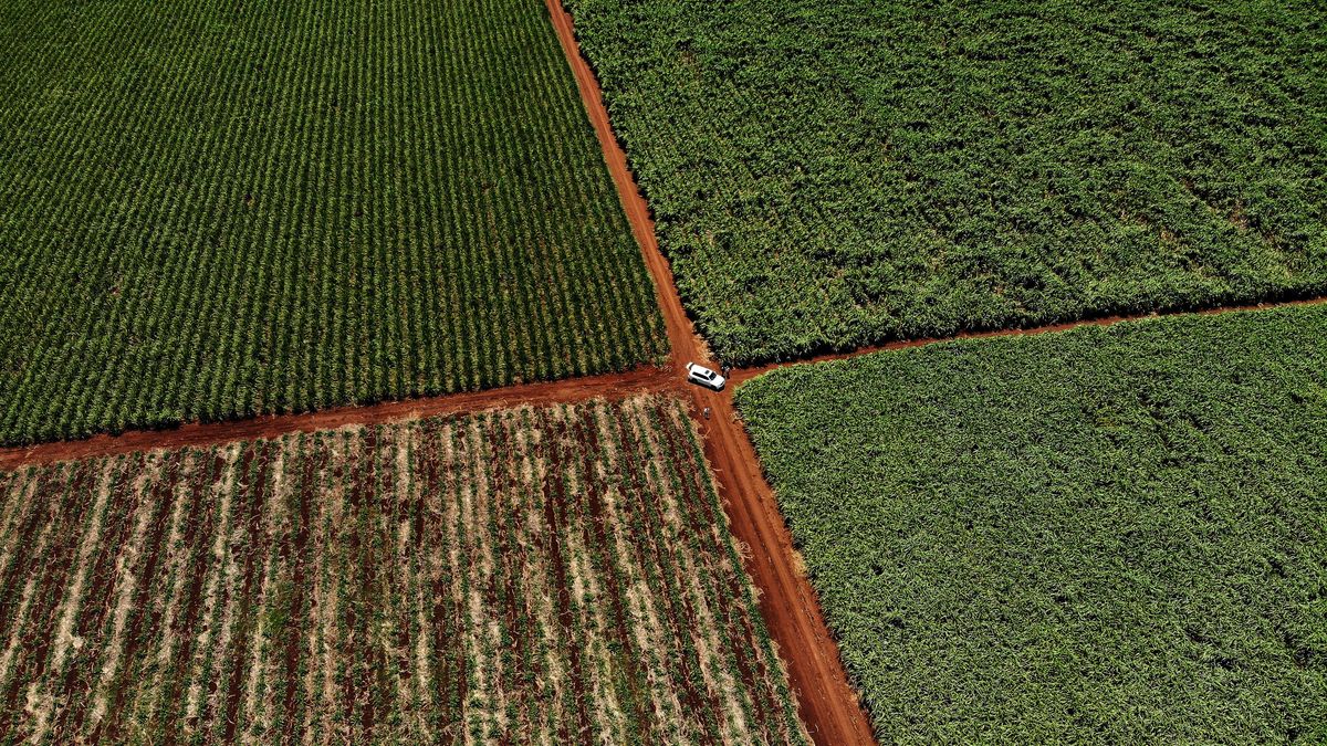 Legal Battle Begins Over South Africa’s Land Expropriation Law