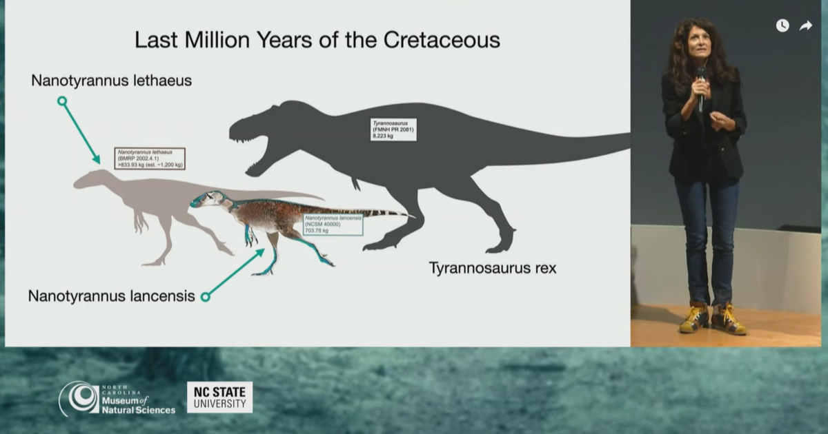 NC museum's work yields new dino discovery