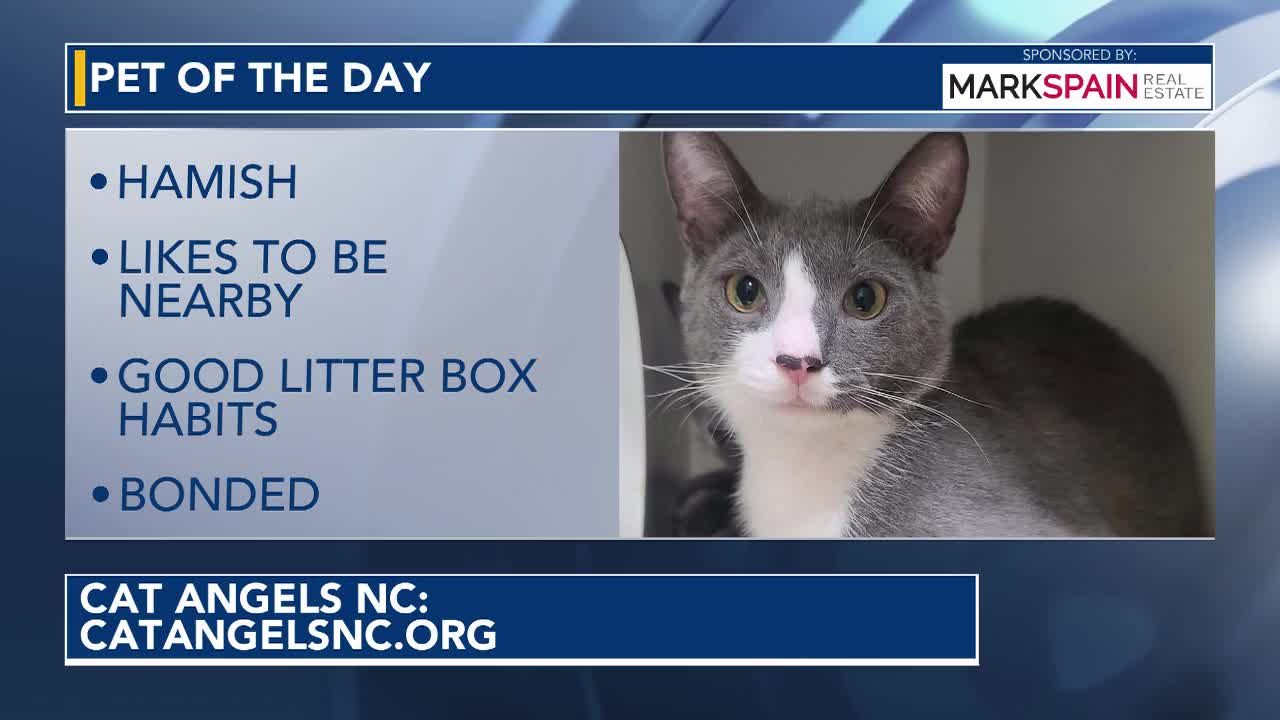 Pet of the Day for September 23, 2026