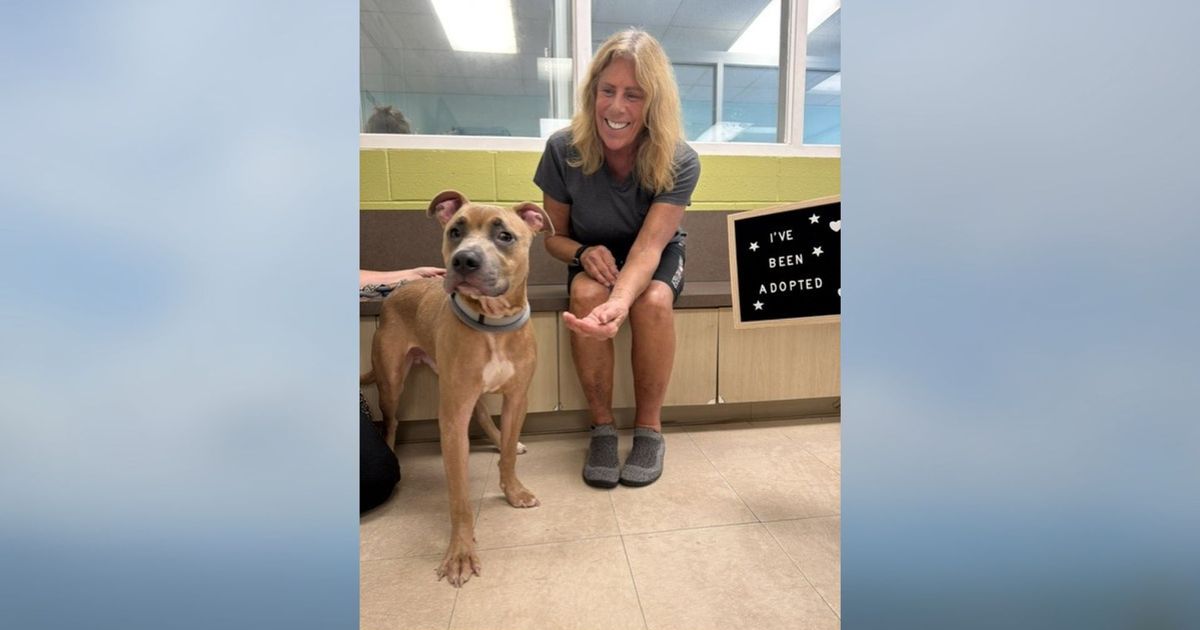 Dog found in a dumpster in Durham has found a home
