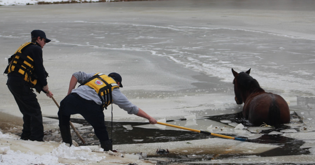 Horse rescued after falling into frozen Moore County pond, firefighters say