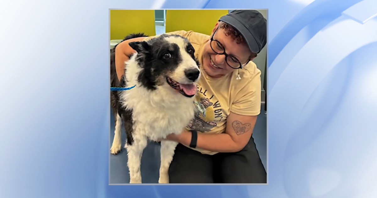 Homeward bound: Dog reunited with owner at Greensboro shelter after disappearing...