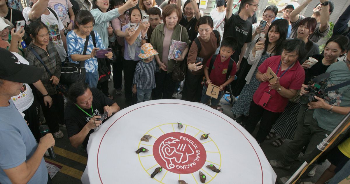 A Taiwanese town embraces a slow pace of life through a snail race