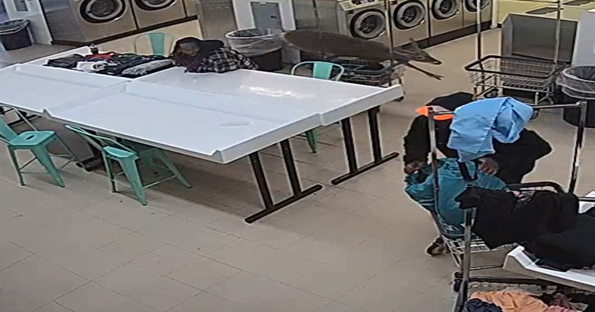 Deer crashes through Winston-Salem laundromat front window