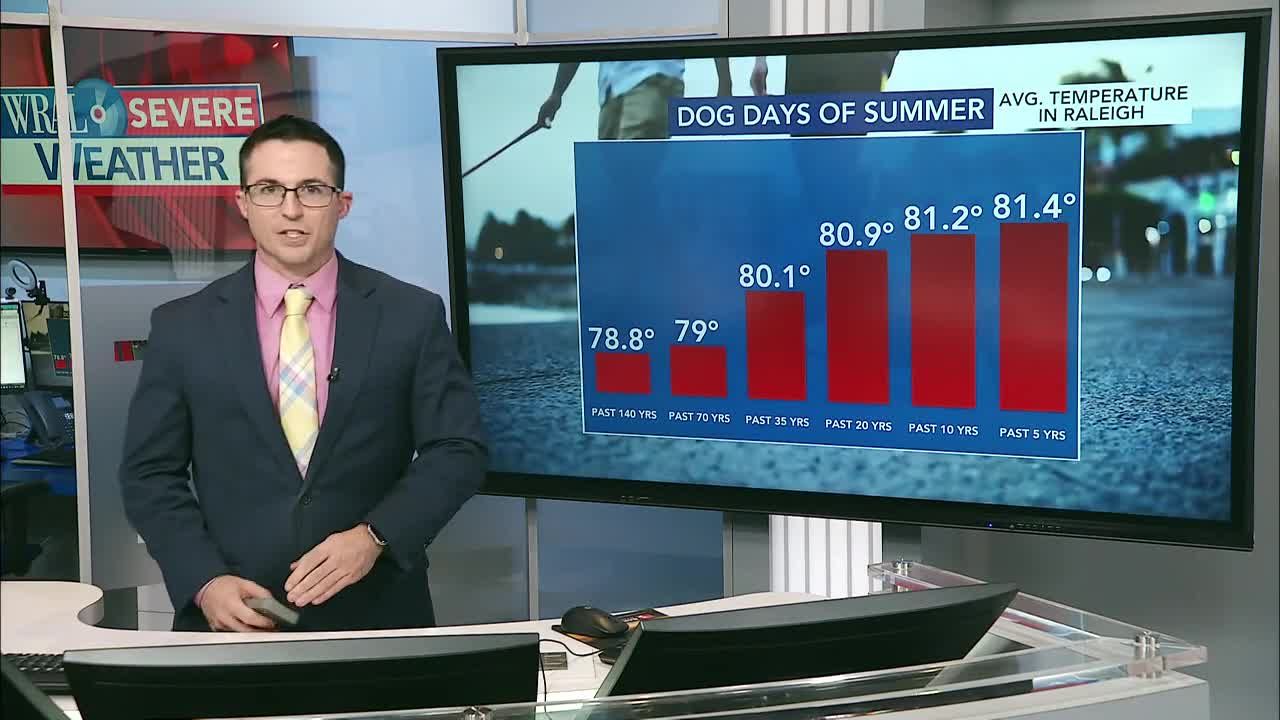 Here's how to keep people, pets cool and healthy in summer's heat