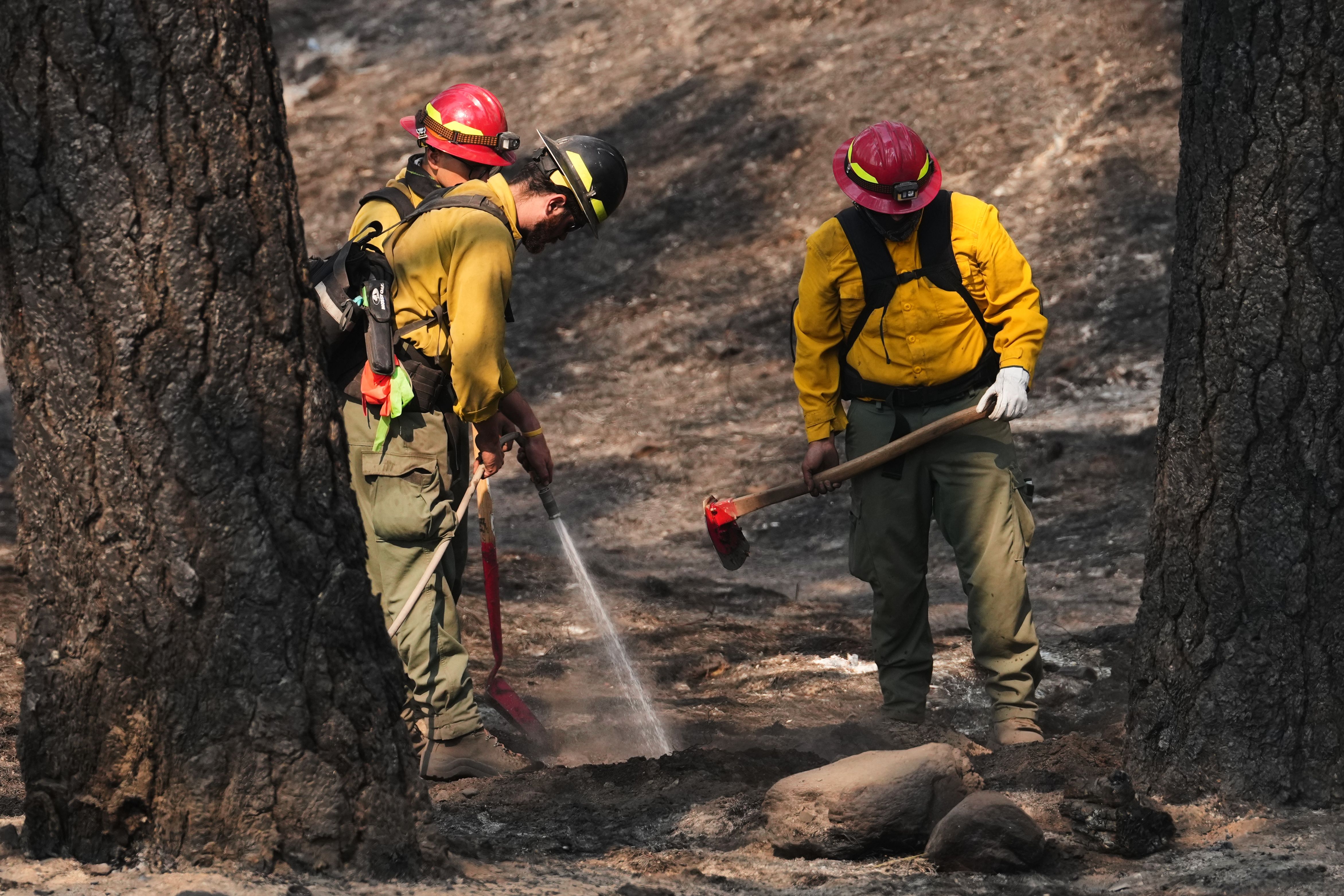 glutathione california board of pharmacy Officials warn wildland firefighters about the risks using a supplement for smoke exposure Size:100mg q10 injections BPC-157 for Sale |
