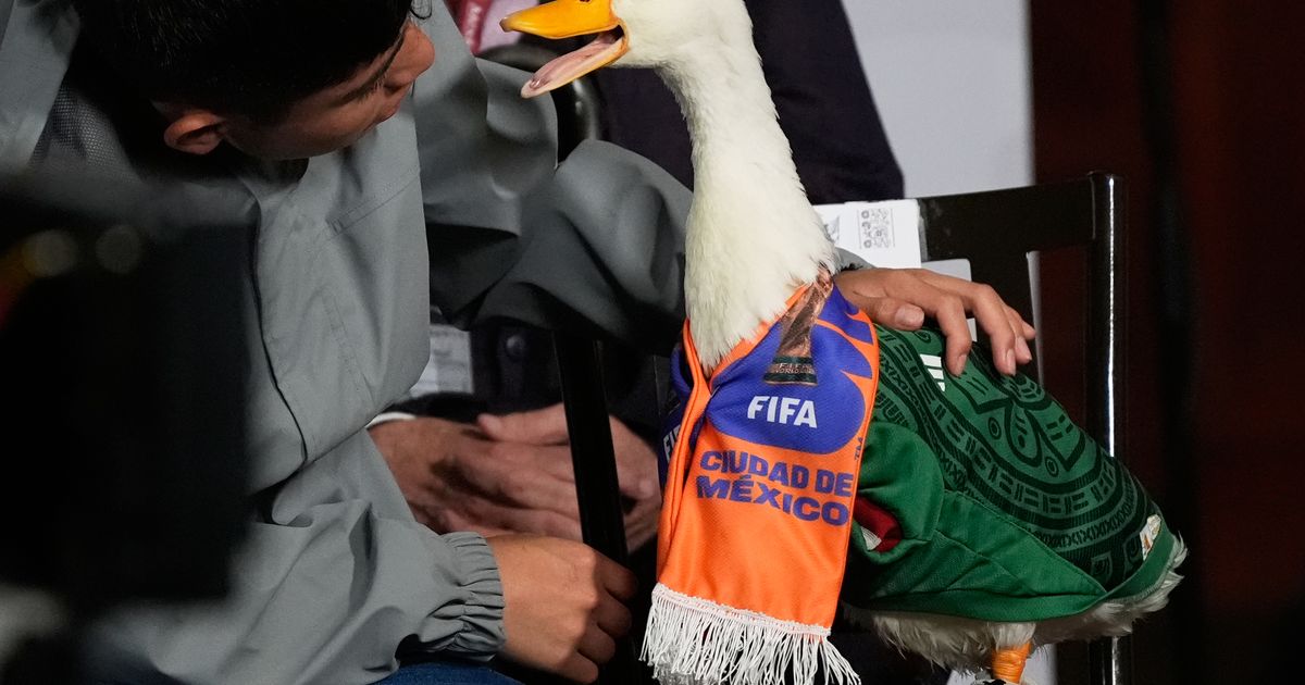 Merlín the duck takes a trip to the stadium, but FIFA rules keep him out of Mexico match