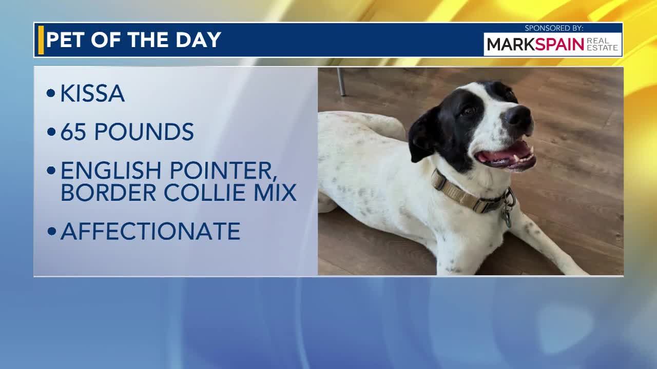 Pet of the Day: Kissa