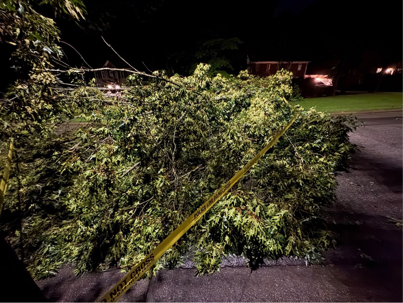 A tree fell across the road on Valley Drive in Raleigh after Wednesday night's powerful storms.