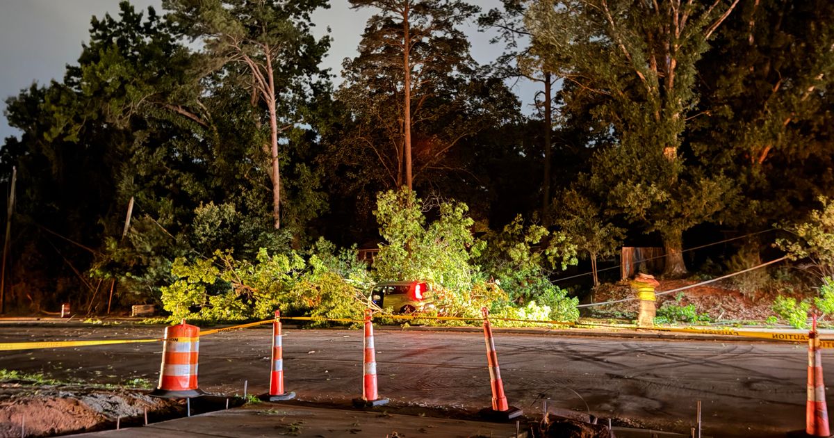 Tree brings down powerlines, closing part of Western Boulevard in Raleigh