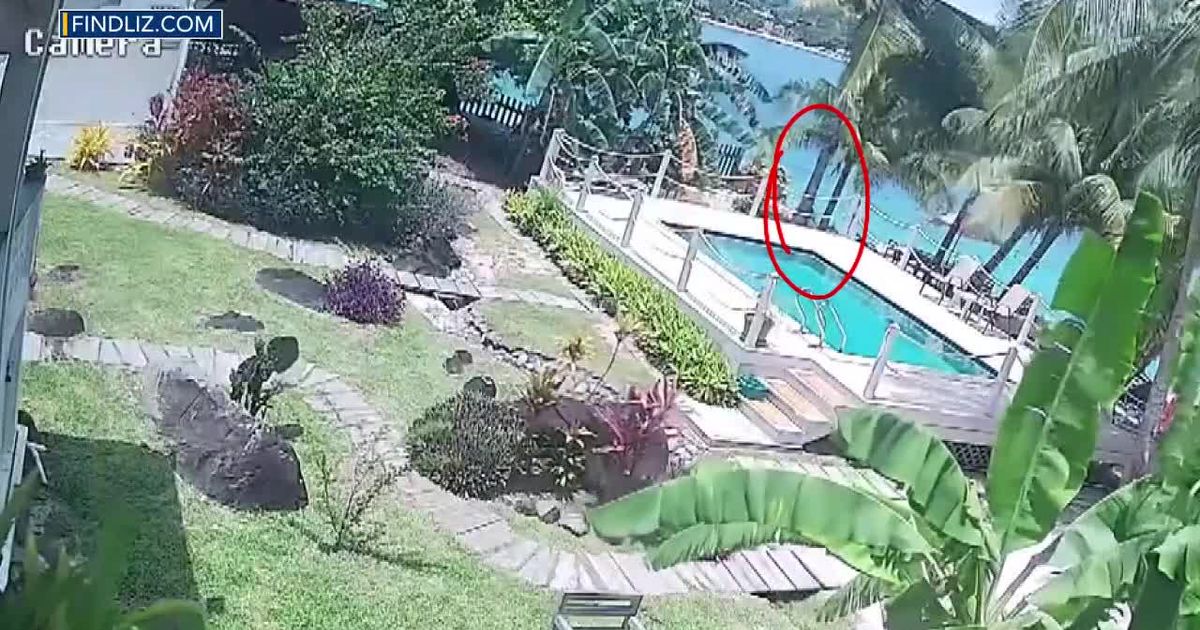 Surveillance video shows missing Cary woman entering water in Grenada before disappearance