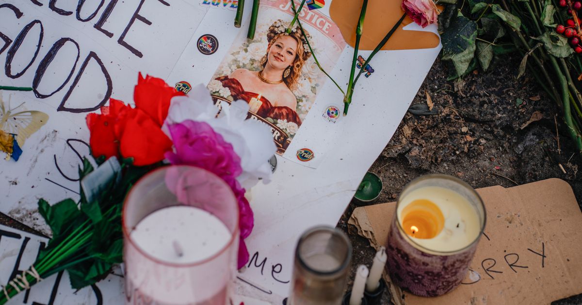 Fact check: Did Renee Good have a criminal record showing child abuse?