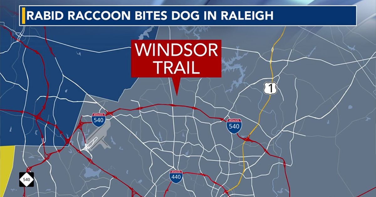 Rabid raccoon bites dog in Raleigh, County officials urge importance of rabies vaccinations for pets