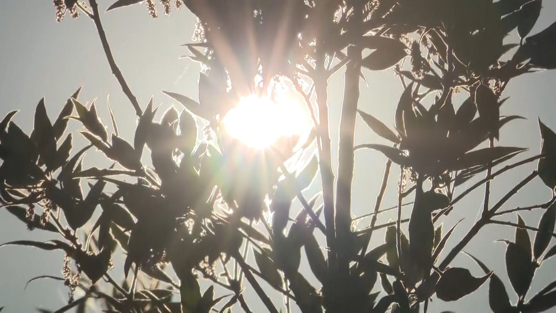 Before your Fourth of July plans, here's what to know about dangerous humid heat