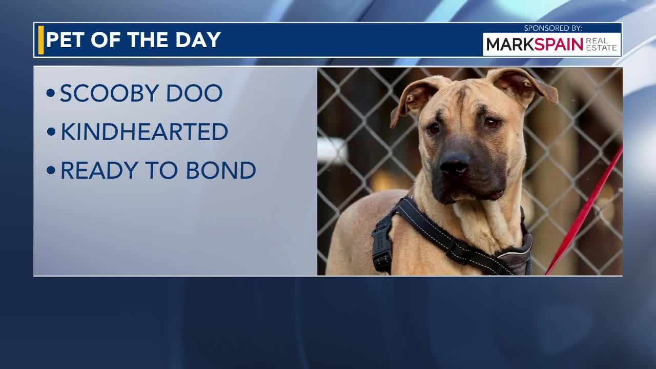 Pet of the Day for September 21, 2026