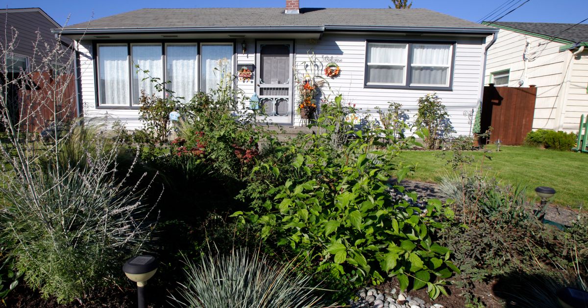 Rain gardens help handle today's downpours. And they can be beautiful too