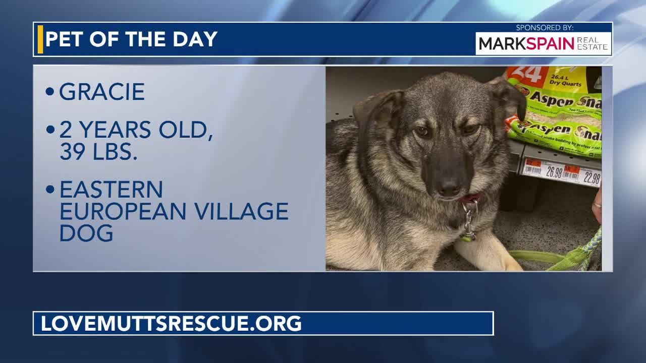 Pet of the Day: October 12, 2026