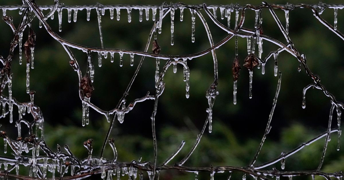 Iced-over North Carolina faces grid preparedness questions after other states enact stricter laws