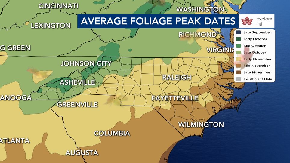 Fall colors in NC Helene devastates mountains. What does that mean for