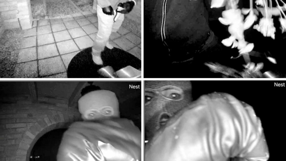 Chilling images from Nancy Guthrie's porch could hold valuable clues about the masked suspect :: WRAL.com