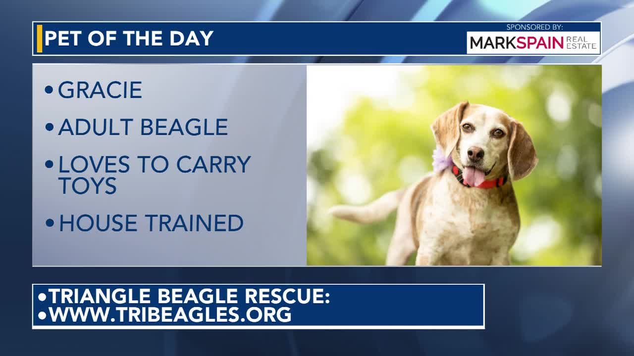 Pet of the Day for July 28, 2026