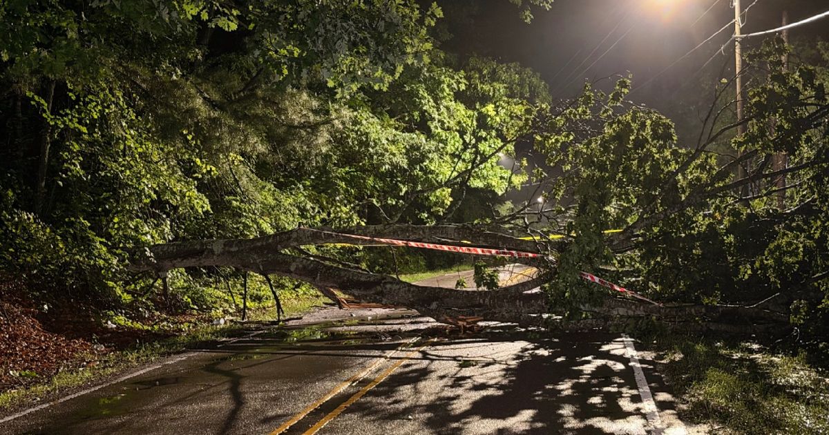 Early morning storms topple trees, knock out power in parts of the Triangle