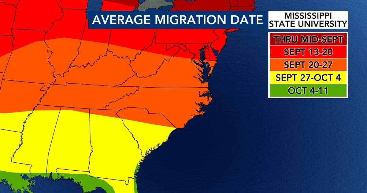 Ask the Meteorologist: When will hummingbirds fly south out of North Carolina?